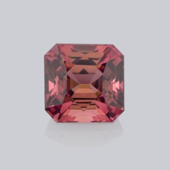 tourmaline-rose-PITOU18